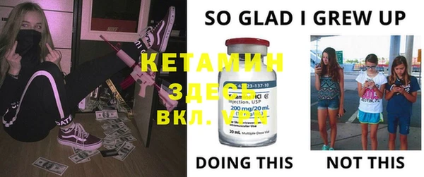 стаф Дмитров