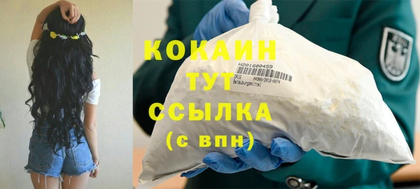 стаф Дмитров