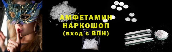 стаф Дмитров