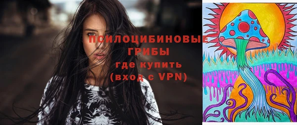 прущая мука Дмитриев