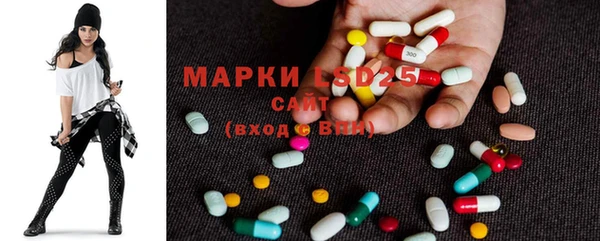 стаф Дмитров