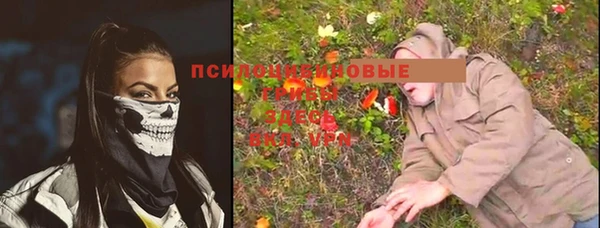 стаф Дмитров